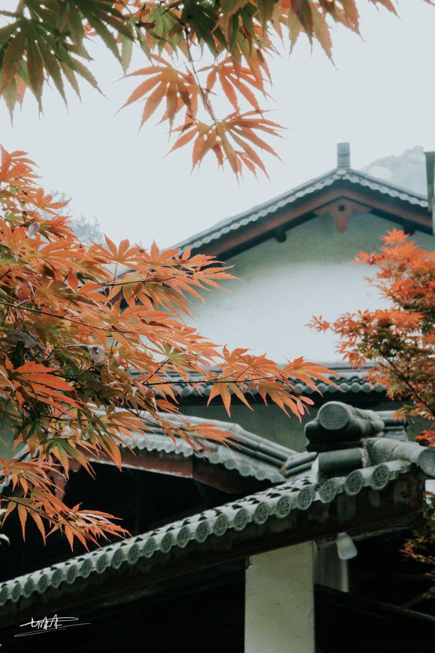 永远的7日之都