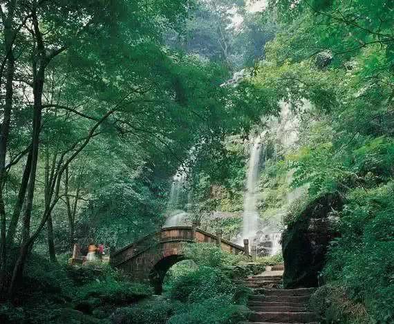贪吃鼠吃豆豆