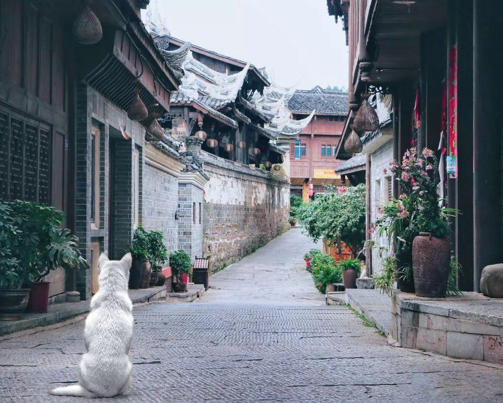 逗小猴开心系列208